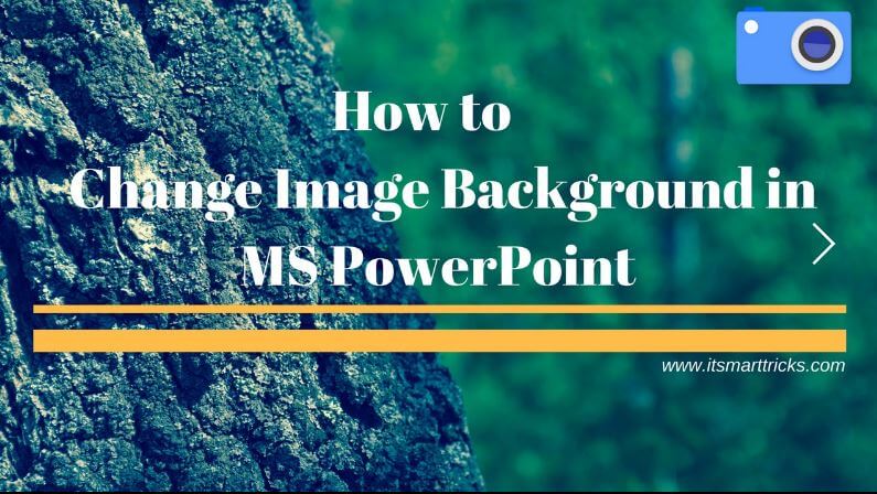 How to Remove Or Change Image Background in MS PowerPoint