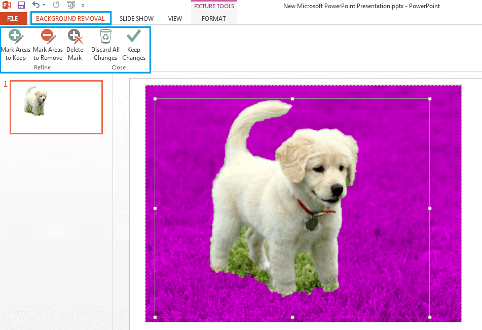 How to Remove Or Change Image Background in MS PowerPoint