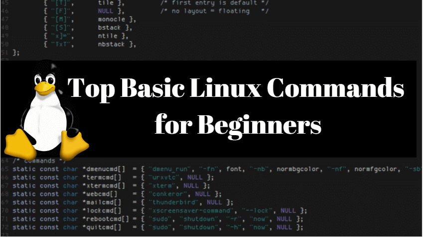 Top Basic Linux Commands for Beginners