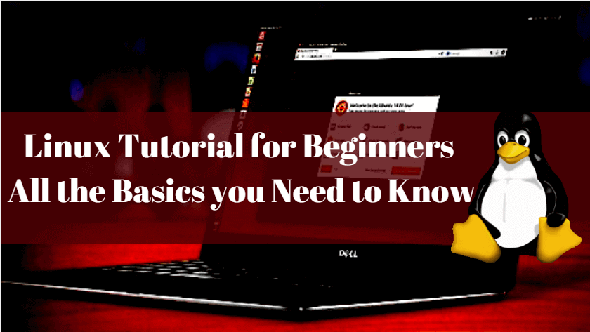 Linux Tutorial for Beginners All the Basics you Need to Know