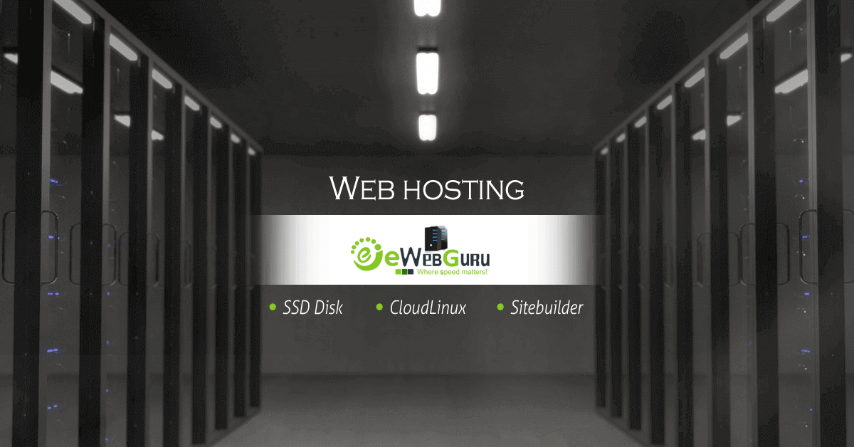 What is VPS and Dedicated Web Hosting