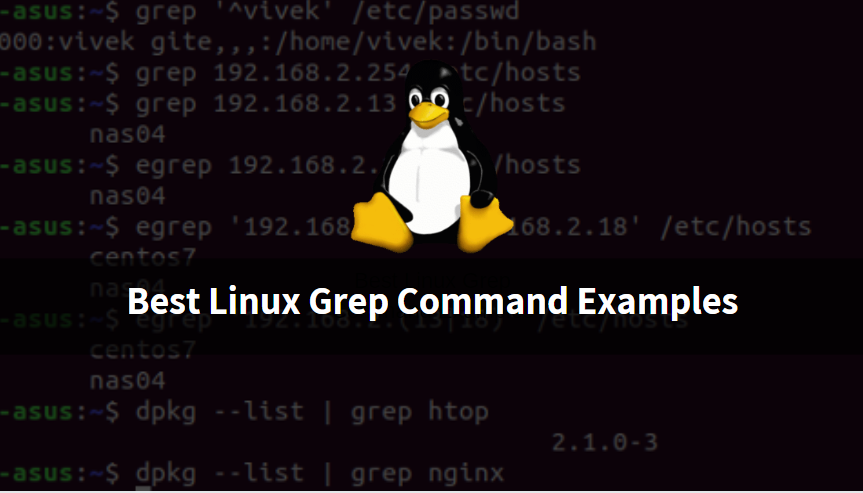 Best Linux Grep Command Examples