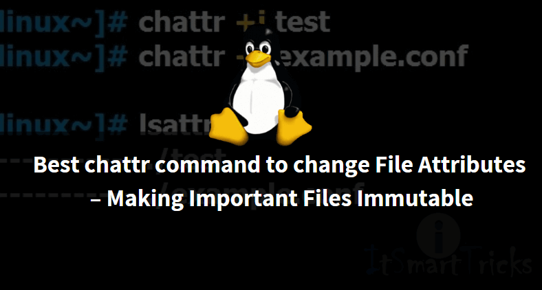 Best chattr command to change File Attributes – Making Important Files Immutable
