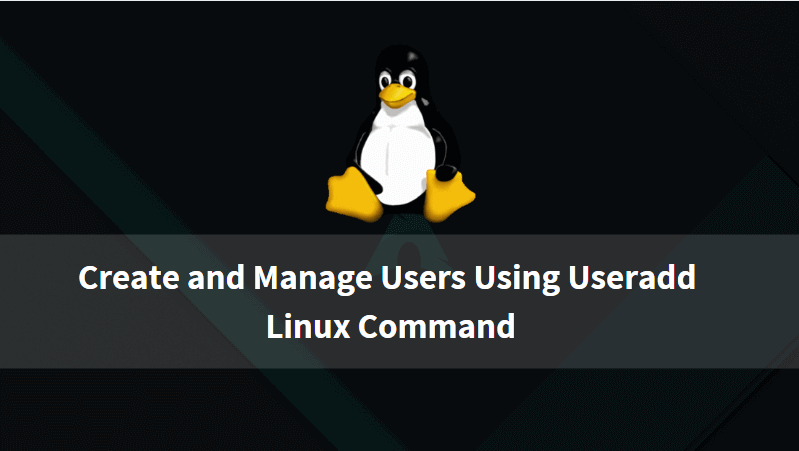 Create and Manage Users Using Useradd Linux Command