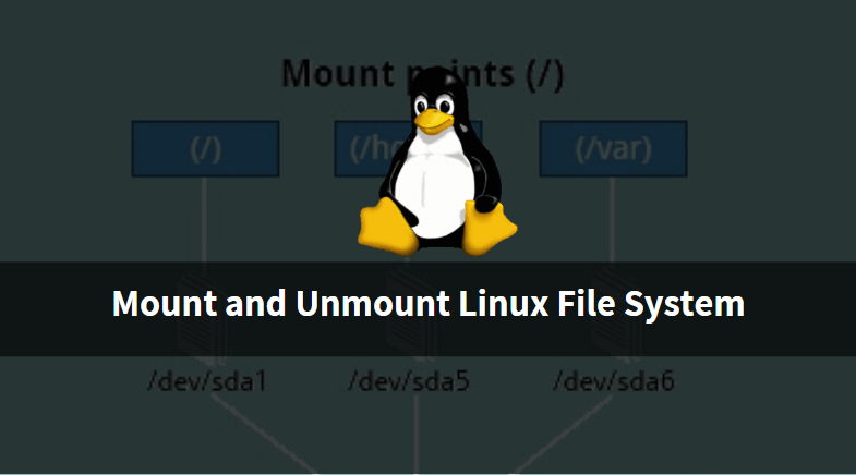 How to mount and unmount Linux file system