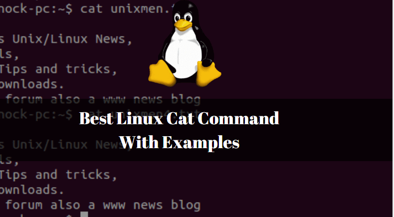 Best Linux Cat Command With Examples