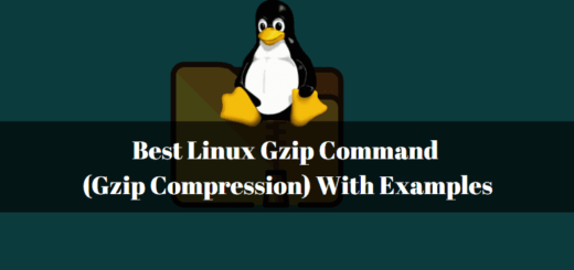Best Linux cat Command With Examples » ITSmartTricks.com