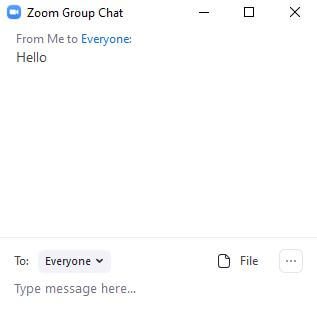 Best Ways to Secure Your Zoom Meeting