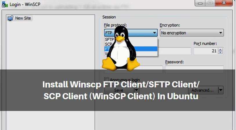 How to Install Winscp FTP Client/SFTP Client/SCP Client (WinSCP Client) In Ubuntu