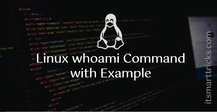 Linux whoami Command with Example