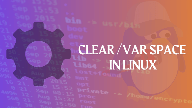 How to clear var space in Linux