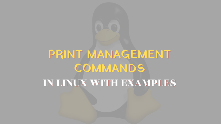 Print Management Commands in Linux