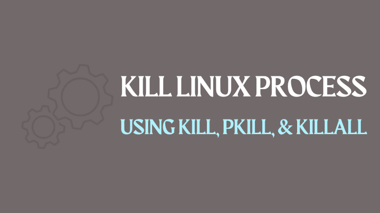 Kill Linux Process