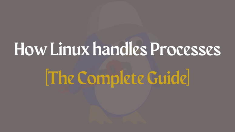 Linux handles Processes