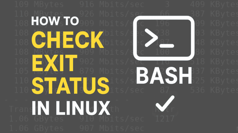Check Exit Status in Linux Commands